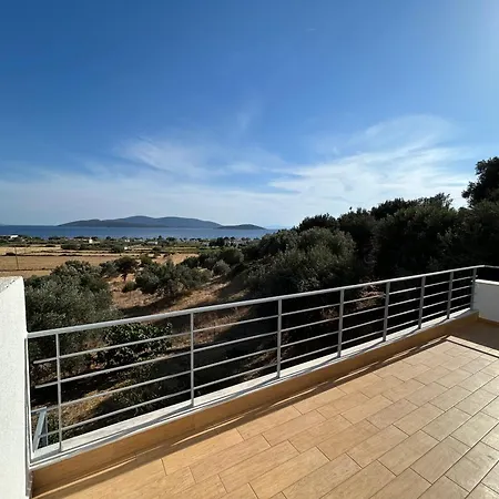 Tzaferi Olive * Marmari (Evia)
