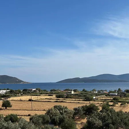 Tzaferi Olive Apartmán *