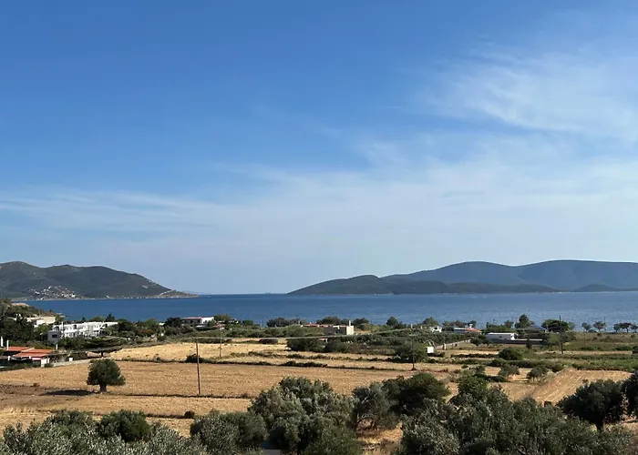 Tzaferi Olive Διαμέρισμα *